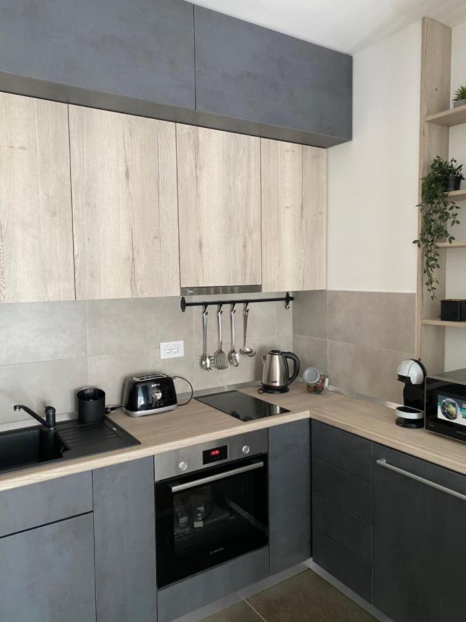 נובי סאד Apartment Pupin Star - City Centre מראה חיצוני תמונה