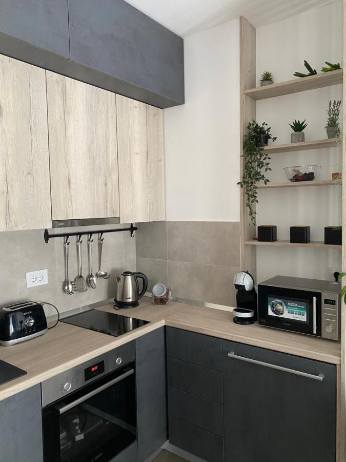 נובי סאד Apartment Pupin Star - City Centre מראה חיצוני תמונה